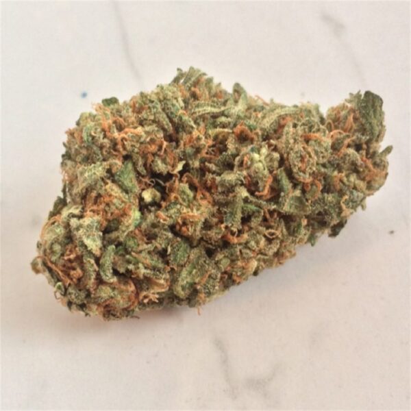 Buy Amnesia Haze at Best Online in Netherlands