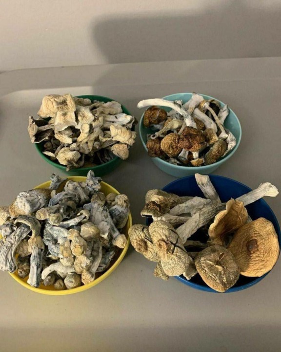 Where to Find Magic Mushrooms in the UK