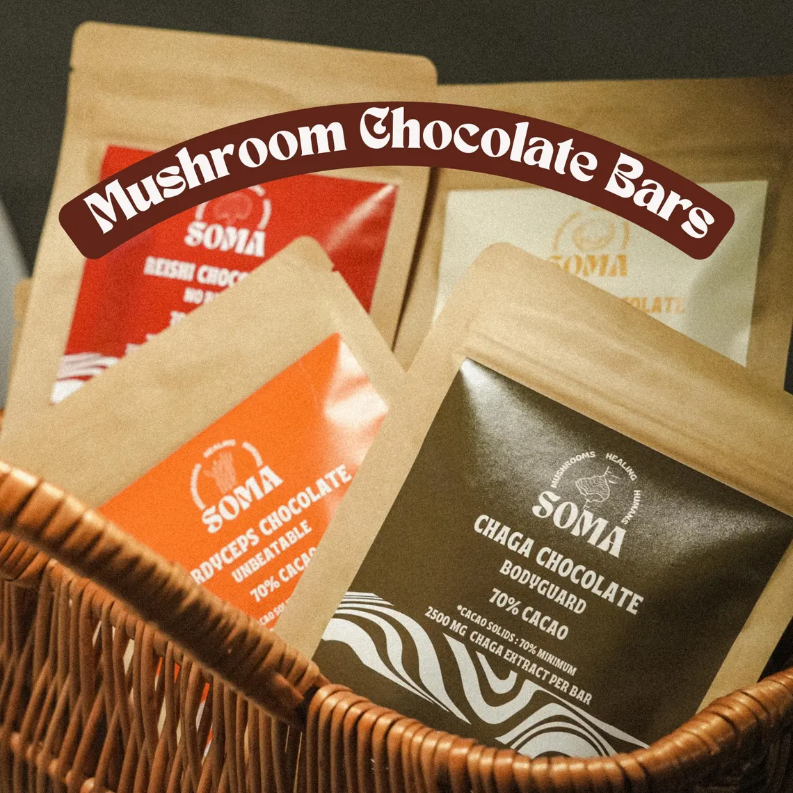 Where to Discover Fair-Trade Chocolate Bars Close to Home