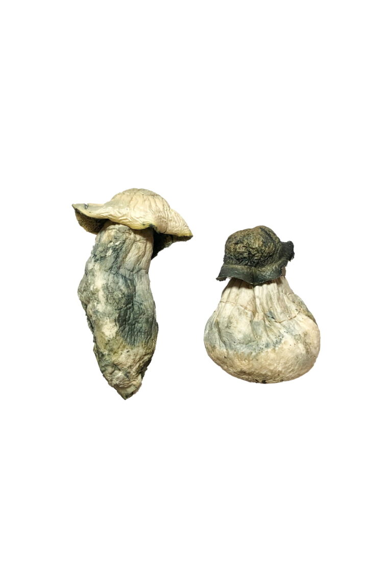 A Local’s Guide to Buying Magic Mushrooms in London
