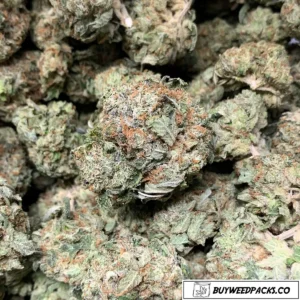 Buy Afghan Kush Online in the UK – Premium Quality Cannabis
