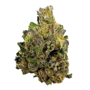 Buy Granddaddy Purple Online in the UK