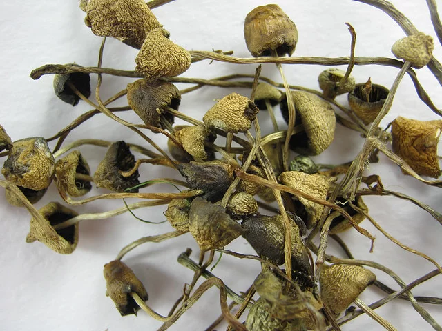 Buy Liberty Cap Online in the UK