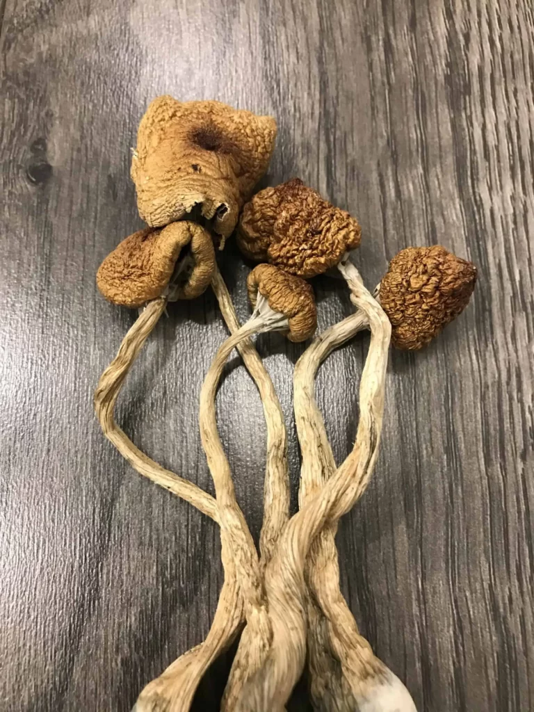 Magic Mushroom Delivery: Navigating UKs Legal Landscape