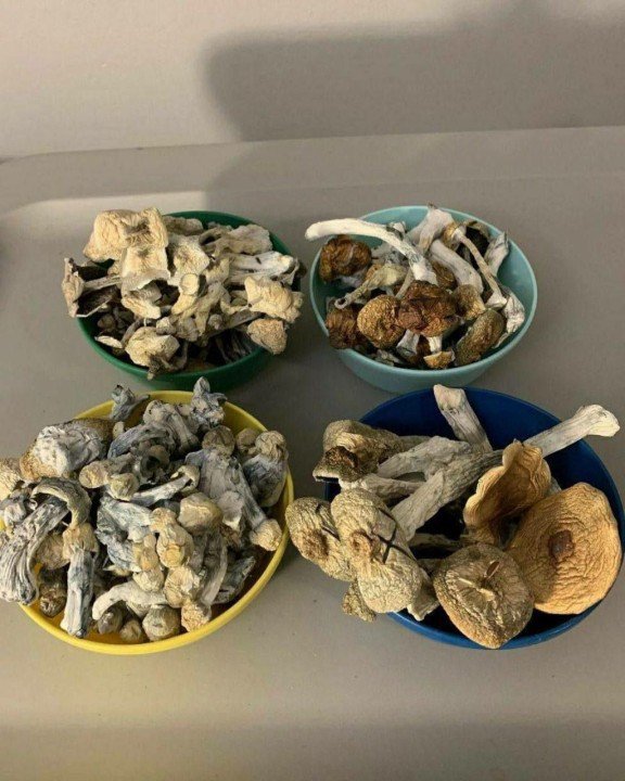 Magic Mushroom Mania: Where Savvy Brits Get Their Psychedelic Fix