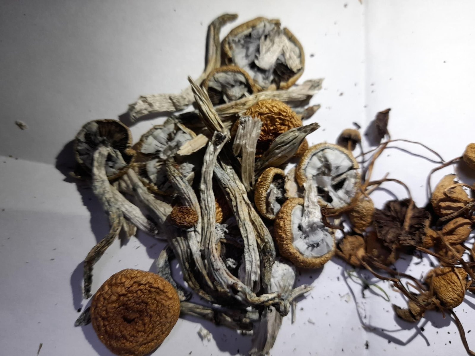 How to Find Reliable Mushroom Shops Online in Ireland